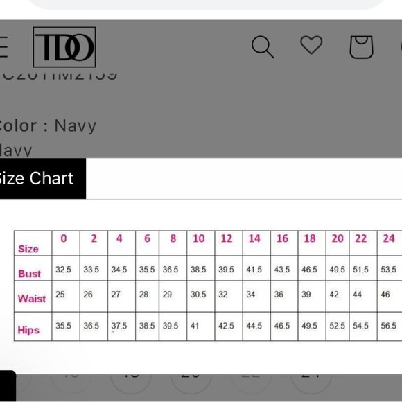 Terani Couture Navy 2011M2159 Long Mother Of Bride Dress Evening Gown - Picture 11 of 11